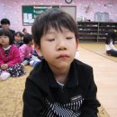 태화 목장 이미지