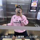 일상|워홀 레쥬메쓰기(한국에서 잡 구하다?ㅋㅎ)