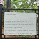 국사봉 지석묘군 이미지