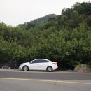 회두민박 이미지