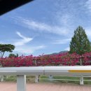 가자한반도다올펜션 | 전남 곡성 에어비앤비 숙소추천 한옥다올 🏡