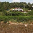 팍스빌펜션 이미지