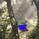 페페 - 부산진구 동성로87번길 30 | 페페