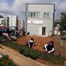 안강4리 이미지