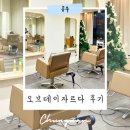 오브데이자르다