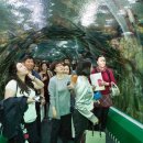 롯데월드아쿠아리움 이미지