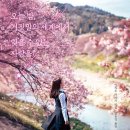 스튜디오오와오와
