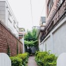 앨리스(Alleys) 이미지