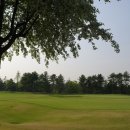 태광컨트리클럽(대중제) 이미지