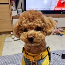 삼덕공원 이미지