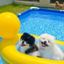 고목로1 이미지