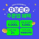 자담
