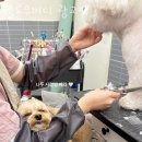 헬로우버디 광교점 이미지