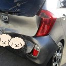 뉴와우모터스 이미지