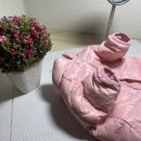 [강아지 패딩] 벨라펍스/ 꼬까옷입고 따뜻한 겨울(내돈내산&amp;착샷)