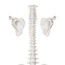 은사한의원 이미지