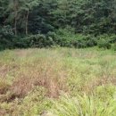 봉화공인중개사사무소 이미지