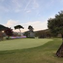 황금슈퍼 | 청도 골프매장 남성 고반발 드라이버 피알지알 슈퍼에그 중고 구매 후기