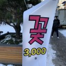 쁘렝땅플레르 이미지