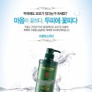 앙포레 이미지