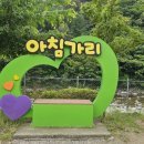 해미레2 Daum카페
