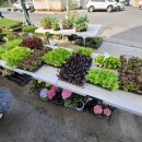 제일종묘사 이미지