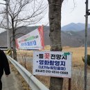 양산 원동매화축제2025 원동 미나리축제 3.1방문 후기 개화 상황 위치 축제 정보 순매원 이가 꽈배기