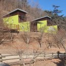 숲속의둥지 | 흥림산자연휴양림 영양에코둥지 숲속의 집 잣나무 후기, 예약방법, 엑티비티