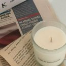 피톤치드컴퍼니 이미지