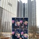 포스코더샾 | 대전 둔산더샵엘리프 둔더엘 사전점검 후기 , 포스코 더샵 새집나들이
