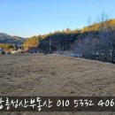 강릉성산 공인중개사사무소 이미지