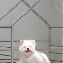 바로퍼