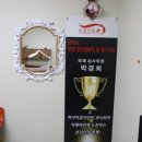 타라스타일