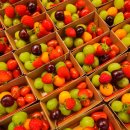 청춘과일 이미지