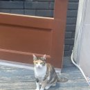 뉴아람스포츠사우나 이미지