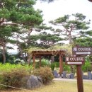 삼남개발(주) 기흥컨트리클럽 이미지