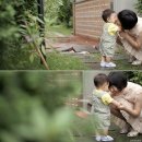 비원한정식 이미지