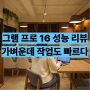 16Z90TP-GA5YK LG 그램 프로16 후기 장점 단점