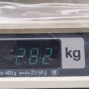 와우종합동물병원 이미지