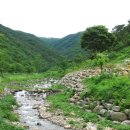 두척계곡 이미지