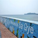 안덕면 사계포구 이미지