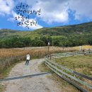 백수목장 이미지