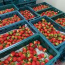 도곡농협농산물산지유통센터 이미지