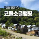 평창 운교리 밤나무 | 강원 평창 물놀이·별똥별투어·텃밭이용·마운틴뷰 가능한 코뿔소글램핑