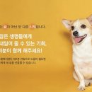 블럭앤 이미지