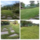 김상진농장 이미지