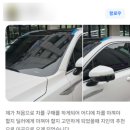 카쉐프 이미지