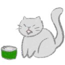 쁘띠펫 네이버블로그