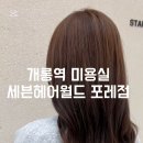 쎄븐헤어월드포레점 네이버블로그