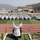 웅동중학교 이미지